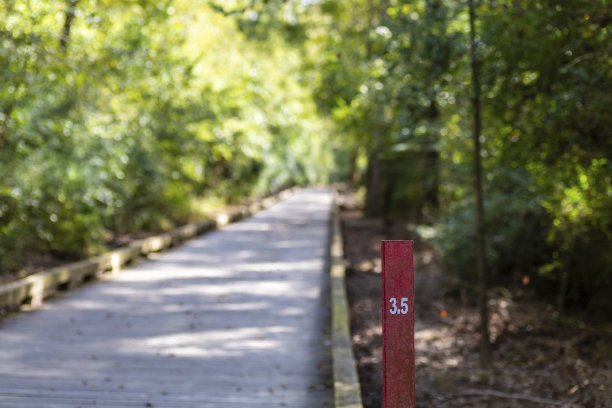 健身步道上的一英里标记图片下载