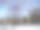冬天的风景，白桦树映衬着蓝天。冬天的风景与雪和白桦树的背景松树林。一张照片。图片下载