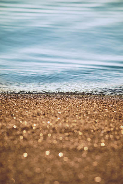 深橄榄色海滩图片下载