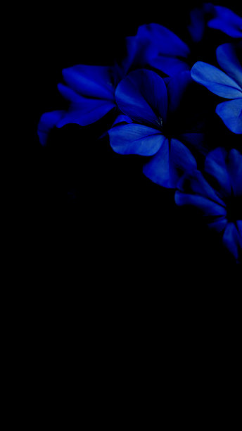 自然背景图片下载