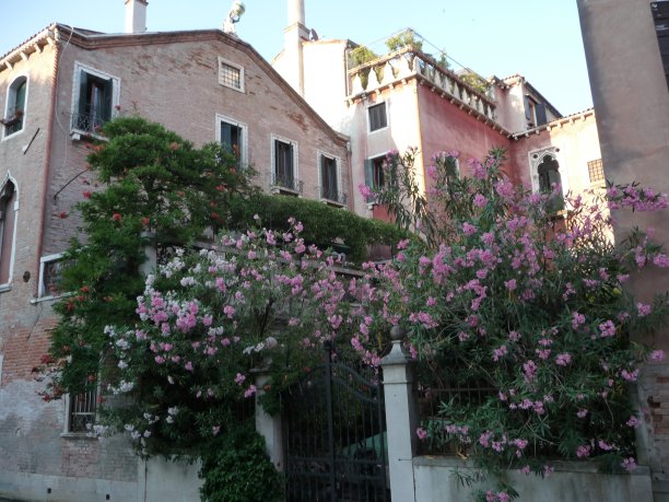 威尼斯图片下载