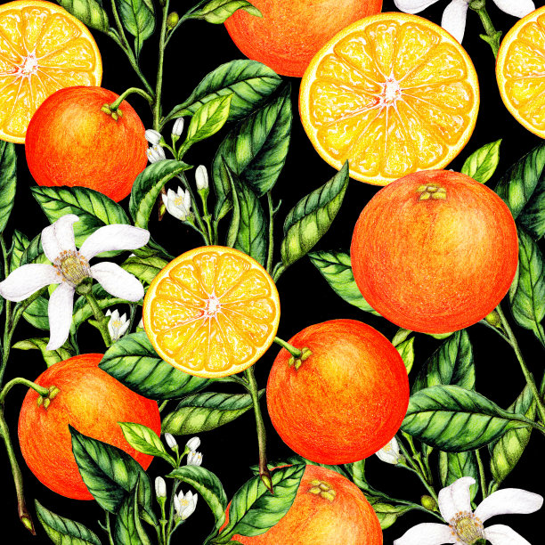 无缝图案的水彩橙色水果图片下载