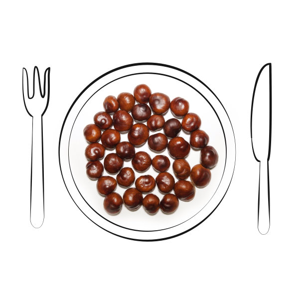 七叶马孤立的白色背景与可爱的涂鸦手绘元素。用刀叉装盘子。前视图。创造性的现代构成。图片下载