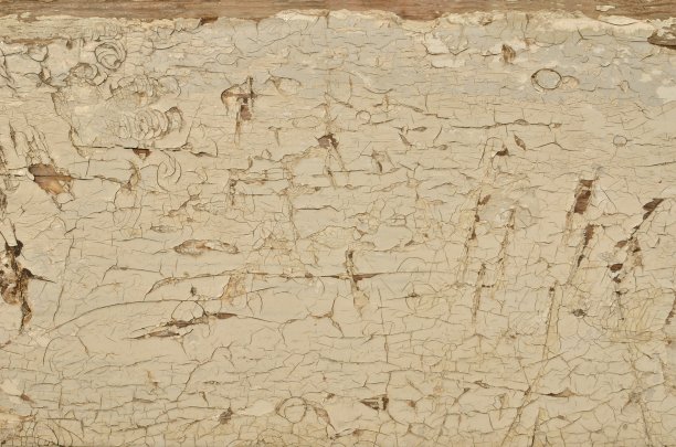 木头上风化的白色油漆图片下载