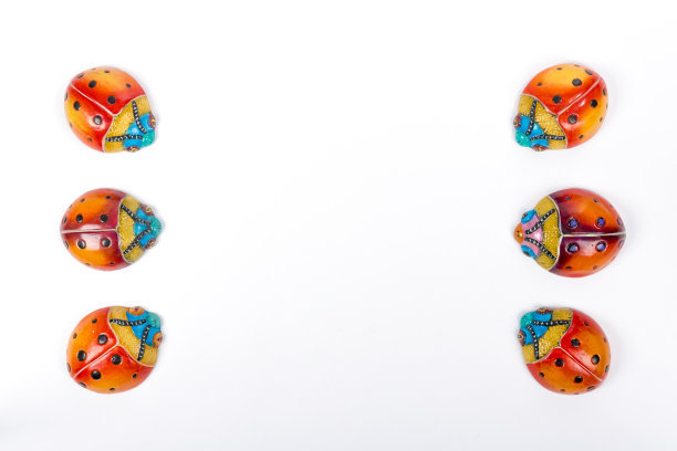 美丽的多色瓢虫图片下载