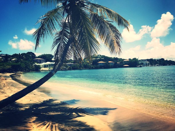 阳光下舞动的影子图片下载