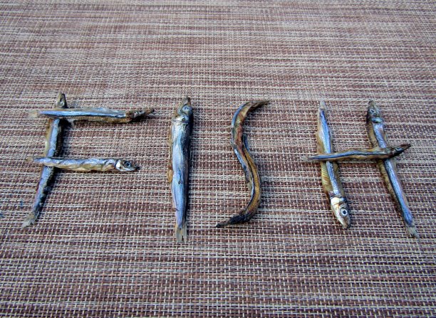 字鱼是由小干鱼做成的图片下载