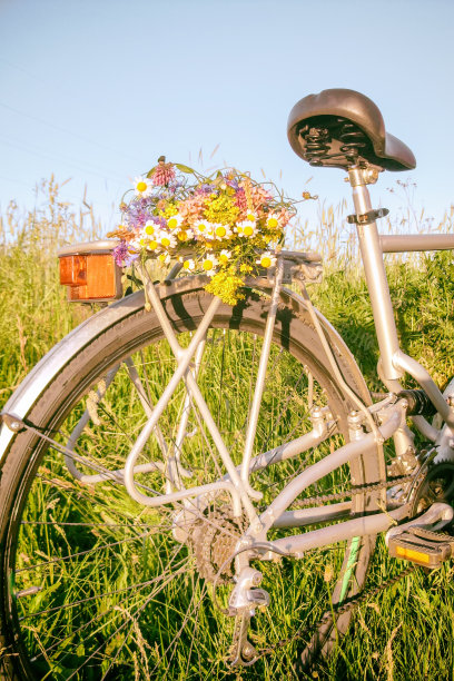 一束野花放在自行车架上，在麦田里，一个过滤器被应用图片下载