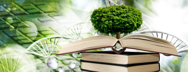 树以心的形式印在书上图片下载