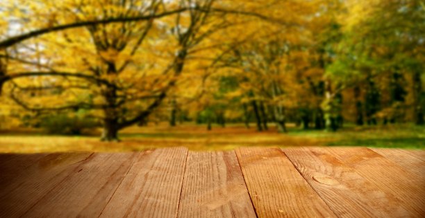 广告空间与木板背景图片下载