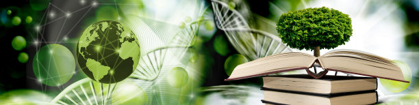 树的形象在书的形式的心图片下载