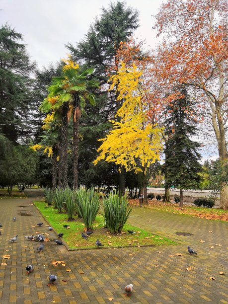 自然下降图片下载