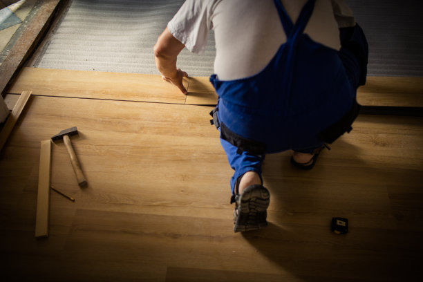 男卧拼花地板/强化地板图片下载