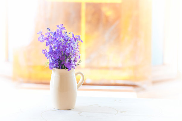 窗台上放着一束紫色的花，窗外透出黄色的光线图片下载