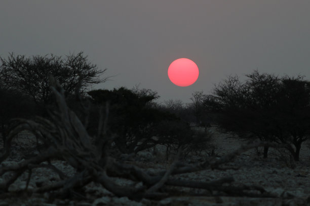 纳米比亚大草原上的日落图片下载
