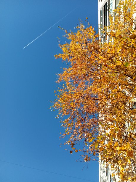 天空飞行图片下载