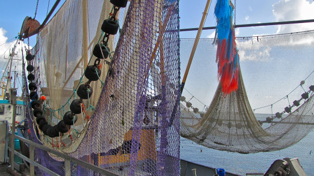 渔民网图片下载