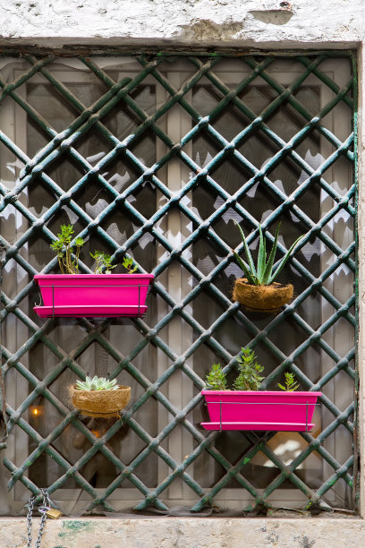 用花盆装饰的窗户图片下载