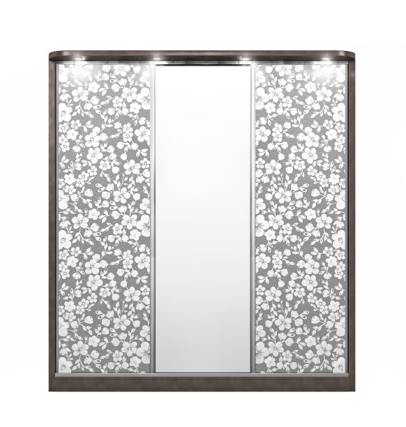 衣柜双门跑车。打开壁橱，白色背景上的东西被孤立。三维演示图片下载