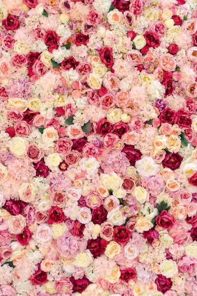 许多各种粉红色、红色和白色花朵抽象图案背景图片下载