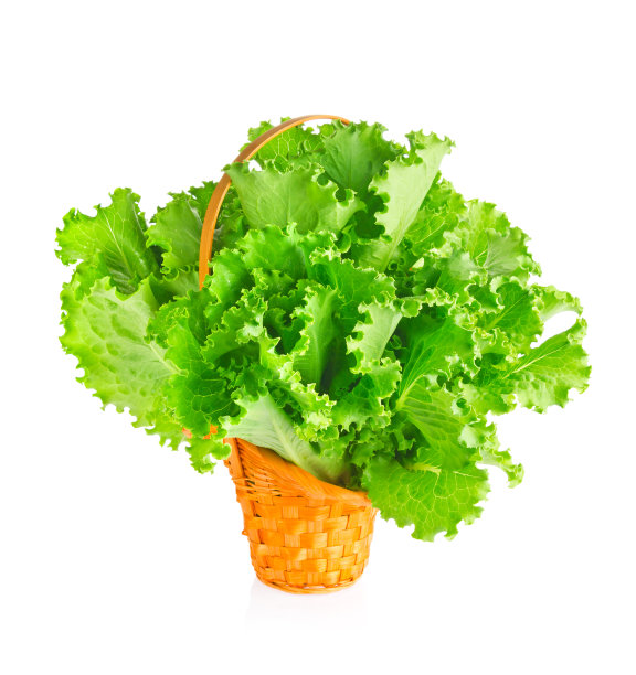 柳条篮子里的新鲜多汁的莴苣图片下载