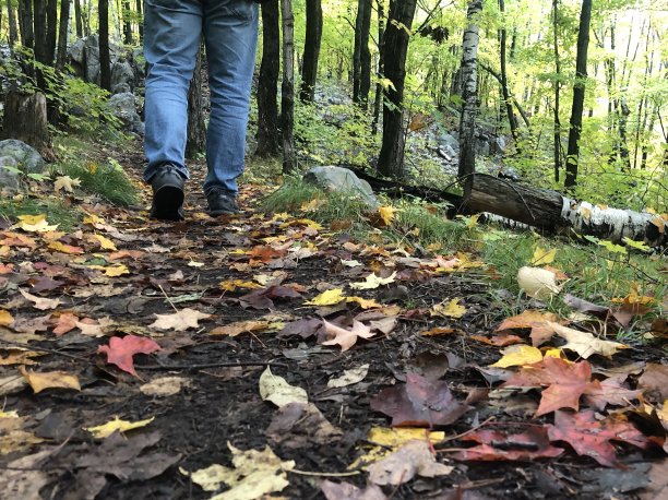 在秋天穿过公园图片下载