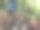 在秋天穿过公园图片下载