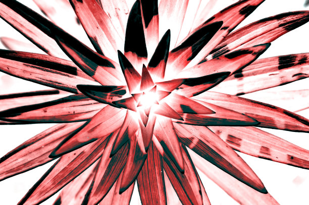 水彩烟花在纸上。抽象的彩色图像上什么人的纸。用画笔画的想象的星形花。艺术背景。彩色图片上的白色画布。生动的草图与复制空间。图片下载