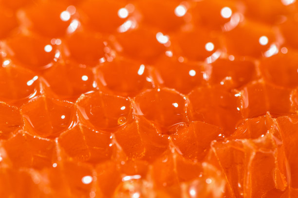 极端宏观，特写。明亮的橙色蜂巢和芳香的新鲜蜂蜜。图片下载