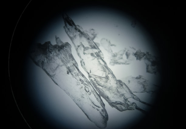 在显微镜下用于科学研究的半透明药物晶体图片下载