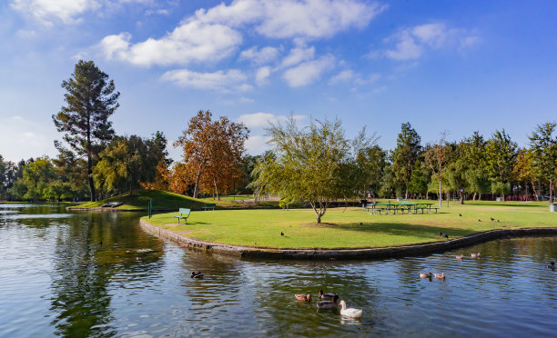 在水边相遇。图片下载