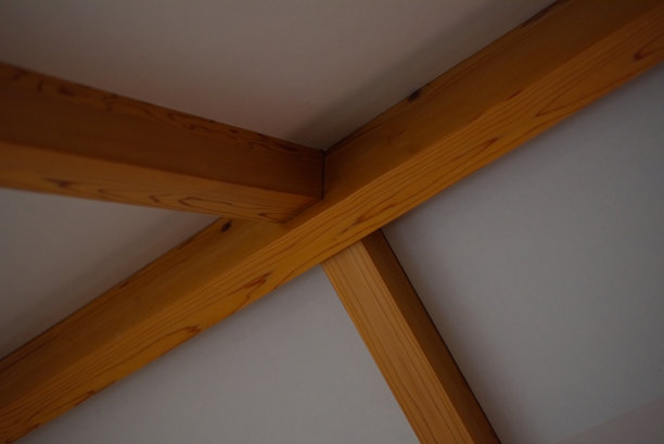 天花板上图片下载