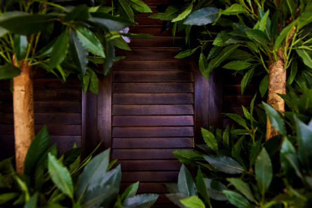 近距离的木制百叶窗在茂密的树叶。图片下载