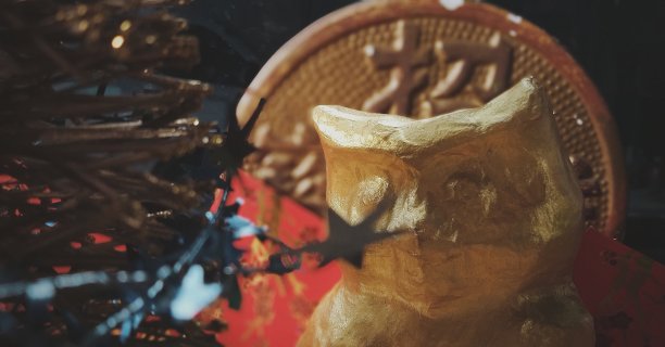 中国黄金猫头鹰图片下载