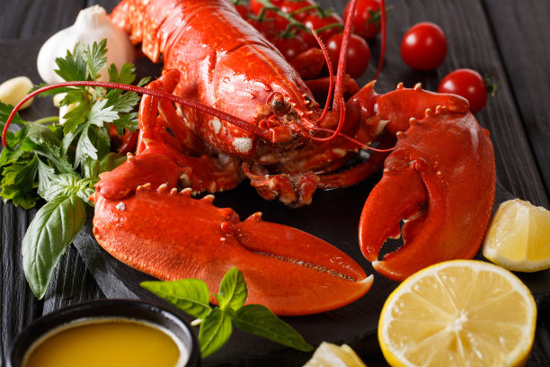 烹饪龙虾特写，柠檬，新鲜的西红柿和香草。水平图片下载