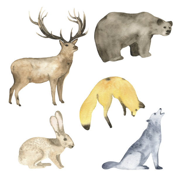 动物插画素材ID：326959488