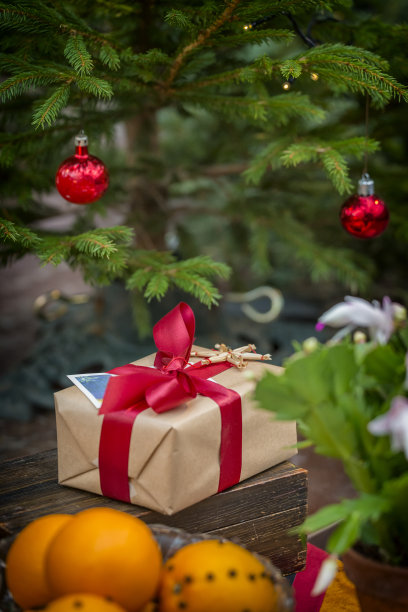 圣诞树下的圣诞礼物图片下载