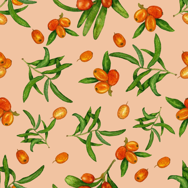 水彩，无缝模式与浆果和沙棘在一个彩色的背景。为您设计的包装纸，织物等。水彩画手工制作的图片下载