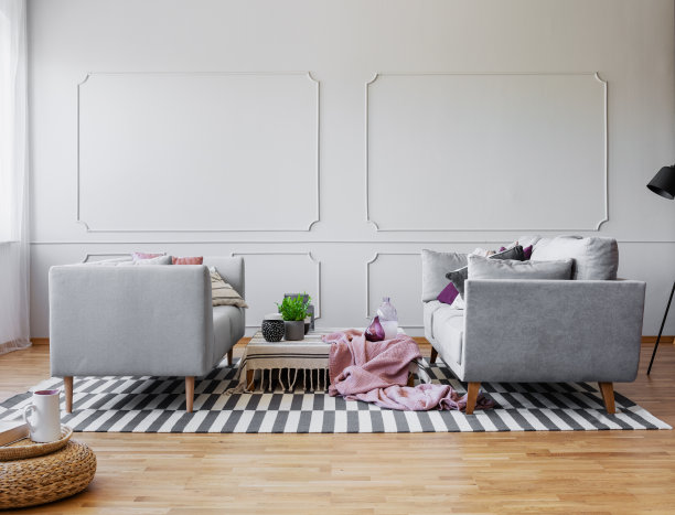 时尚的客厅室内设计与两个灰色的沙发和空墙与造型，真实的照片图片下载