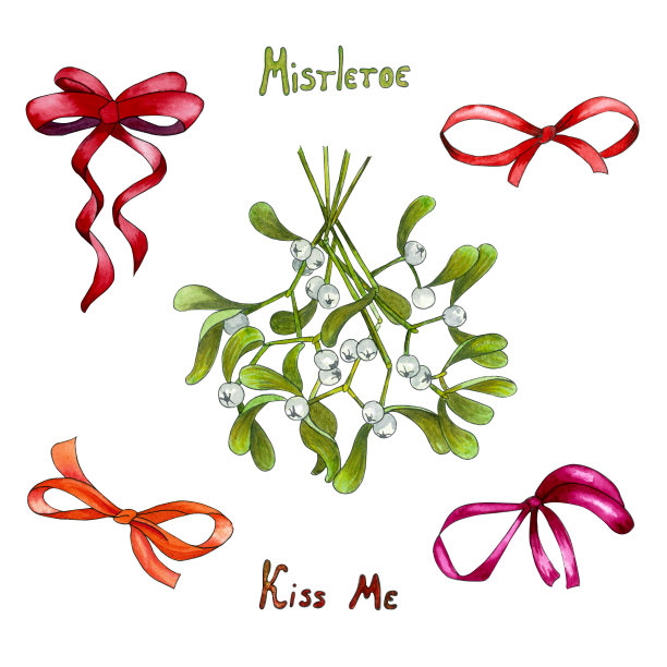 水彩圣诞槲寄生和红色蝴蝶结孤立的白色背景。冬天的模板。图片下载