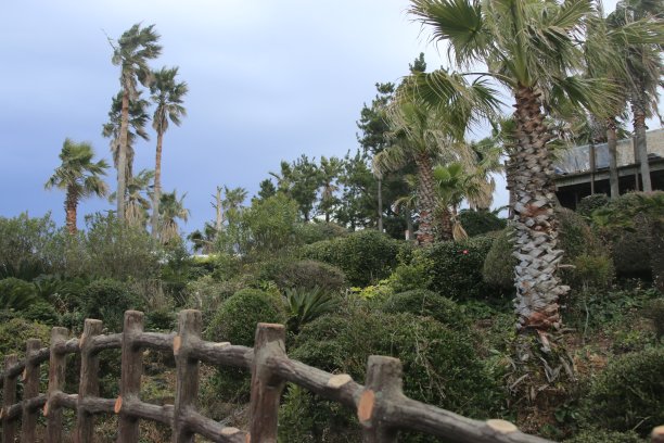 南原大嗯，散步路图片下载