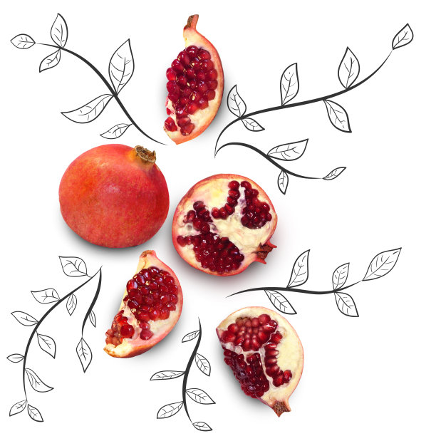 水果构成与新鲜的石榴和卡通可爱的涂鸦元素在白色的背景。创意简约的食物概念。图片下载
