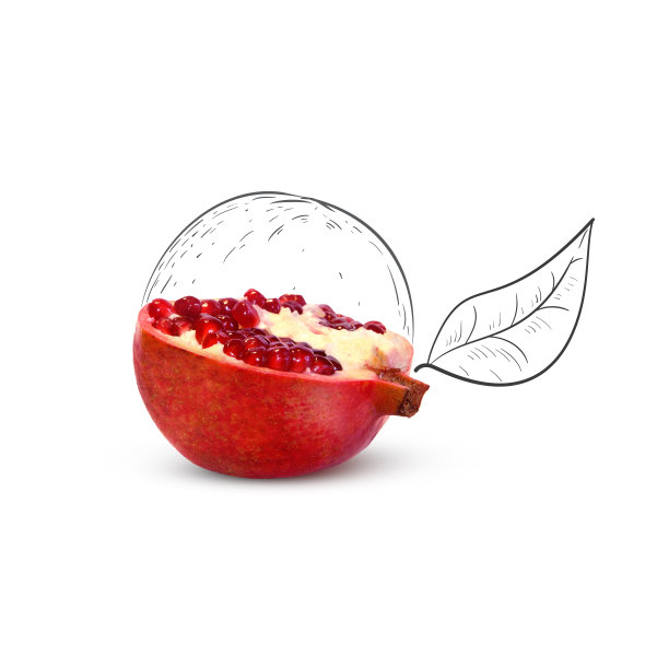 水果构成与新鲜的石榴和卡通可爱的涂鸦元素在白色的背景。创意简约的食物概念。图片下载