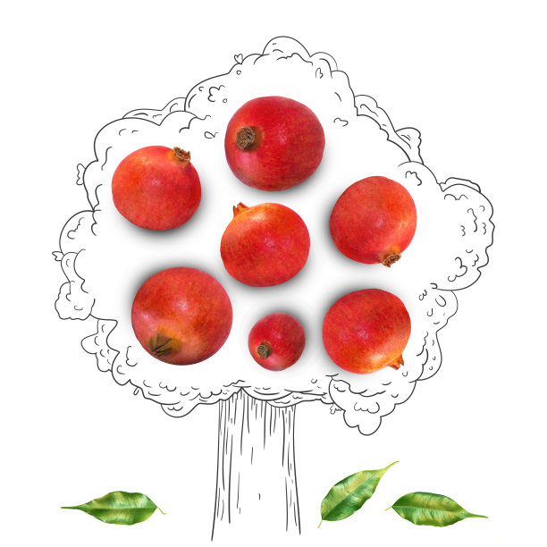 水果构成与新鲜的石榴和卡通可爱的涂鸦元素在白色的背景。创意简约的食物概念。图片下载