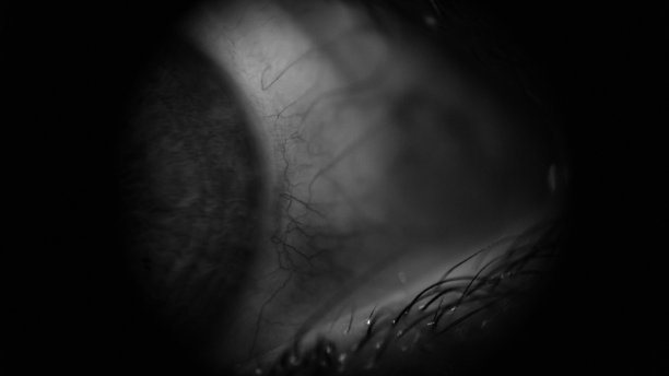 眼睛的形状图片下载