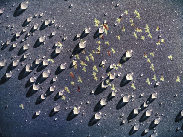 水滴对鸟类飞行背景的多重曝光效果图片下载