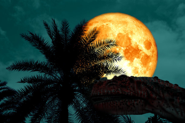 血月的背影剪影在古朴的公园绿色夜空中图片下载