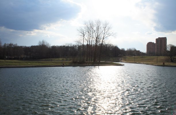 城市公园的春天图片下载