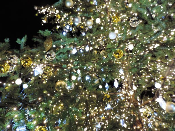 圣诞装饰图片下载