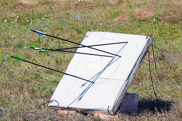 从弓上射出的箭射向画好的目标图片下载